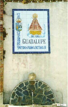 guadalupe loza y fuente