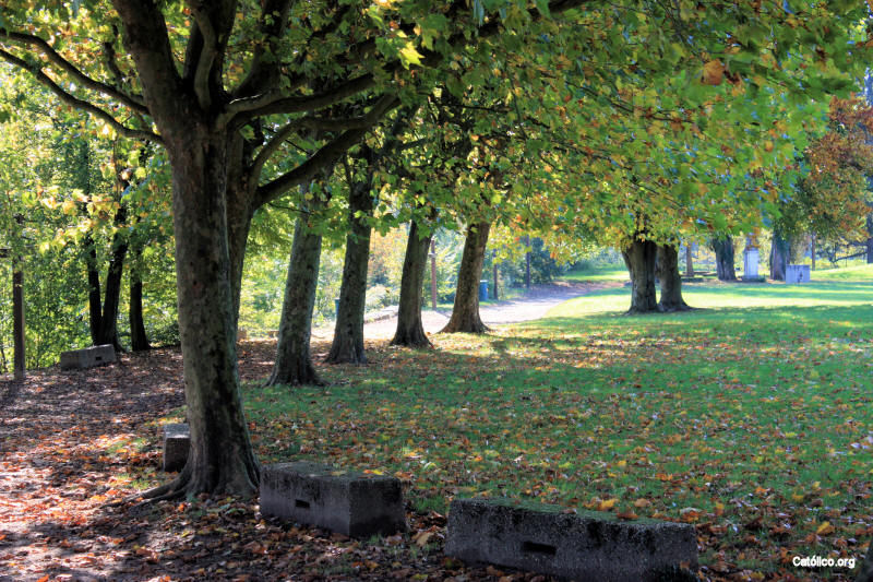 Jardn de oracin