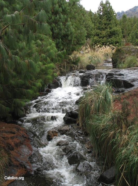 El Cajas, cascadas a la entrada del santuario